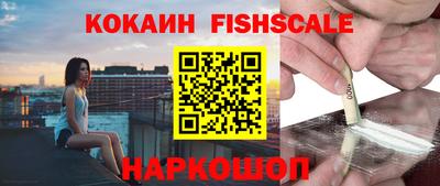 гашик Кингисепп