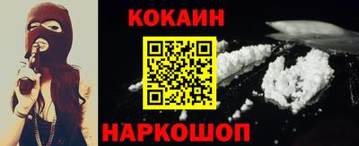 гашик Кингисепп