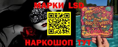 гашик Кингисепп
