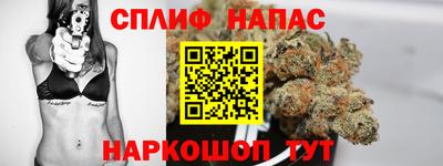 гашик Кингисепп