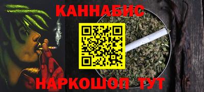 гашик Кингисепп