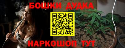 гидра Берёзовский