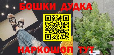 гашик Кинель
