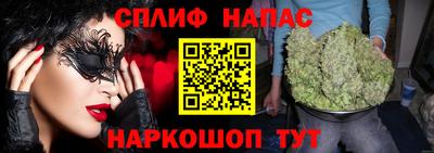 гидра Берёзовский