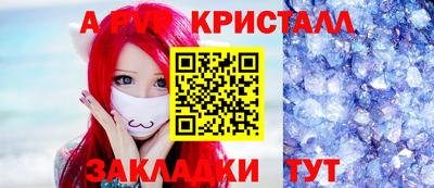 гашик Кингисепп