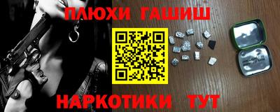 гашик Кингисепп
