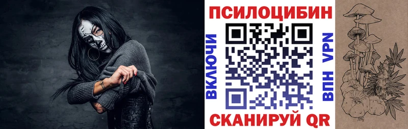 ОМГ ОМГ ссылки  Курчалой  Галлюциногенные грибы Cubensis  наркотики 