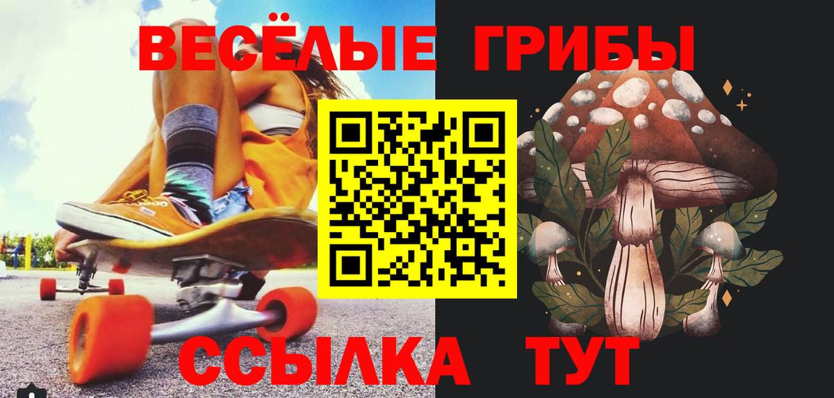 Курчалой  Псилоцибиновые грибы ЛСД  Вход с VPN 