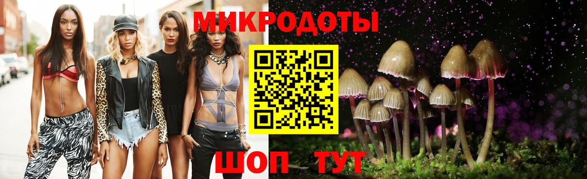Галлюциногенные грибы мухоморы Курчалой