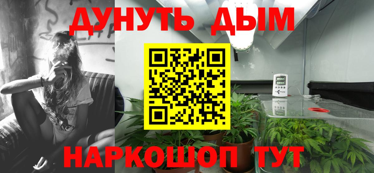 Канабис Ganja Курчалой